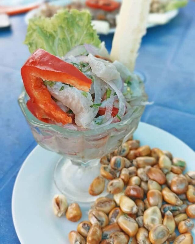 Mancora: Puerto Pizarro - Tour Mangrove Mysteries - Final Thoughts: Who Should Book This Tour?