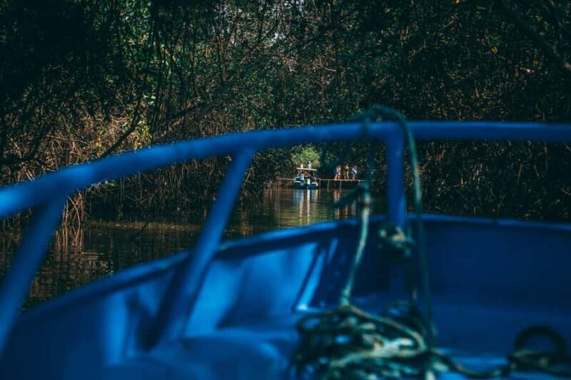Mancora: Puerto Pizarro - Tour Mangrove Mysteries - Good To Know