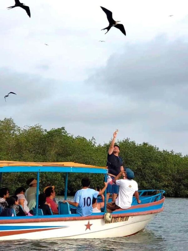 Mancora: Puerto Pizarro - Tour Mangrove Mysteries - Discovering Puerto Pizarro’s Natural Charm