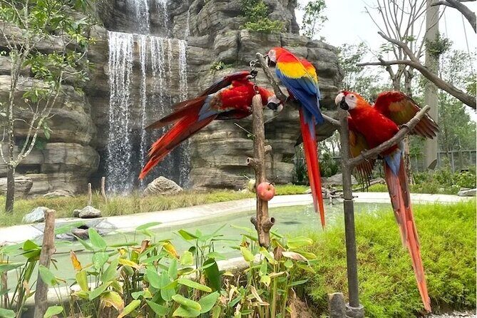 Mandai Bird Park Singapore Admission Ticket - Good To Know  