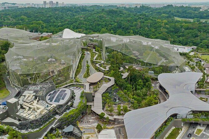 Mandai Bird Park Singapore Admission Ticket - Practical Tips for Visiting Bird Paradise  