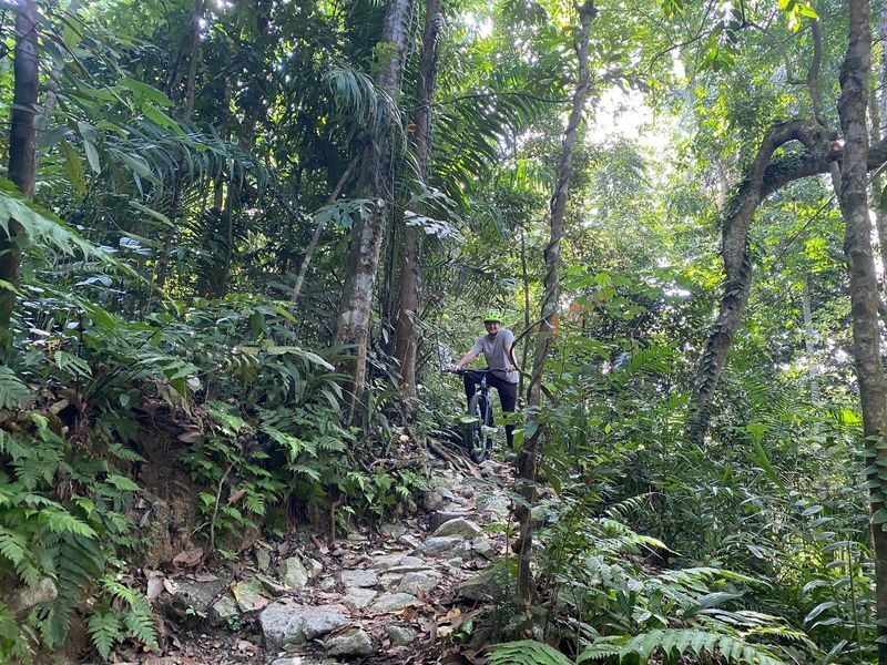 Mandai Trail Half-Day Private Mountain Biking Experience - Choosing the right pace and difficulty