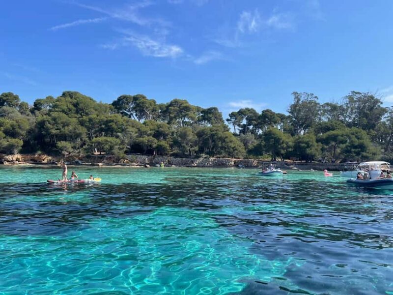 Mandelieu : Private boat tour to lérins island - FAQ