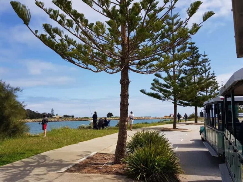 Mandurah: Big Toot 30 mins scenic tour - An Honest Breakdown of the Big Toot Experience