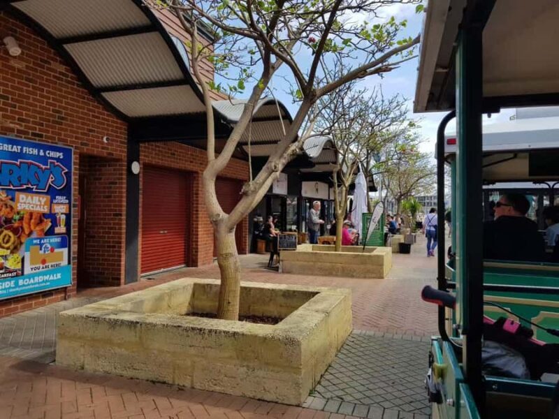 Mandurah: Big Toot 30 mins scenic tour - Final Thoughts: Is the Big Toot Worth It?