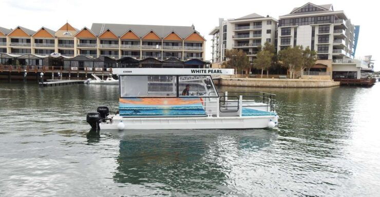 Mandurah: Sightseeing Dolphin Cruise With Tour Guide - Experience Highlights