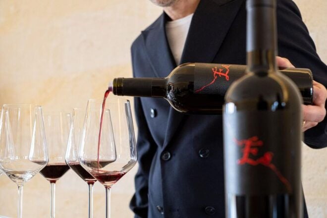 Manduria: Wine Tasting & Finger Food - Gourmet Finger Food Pairing