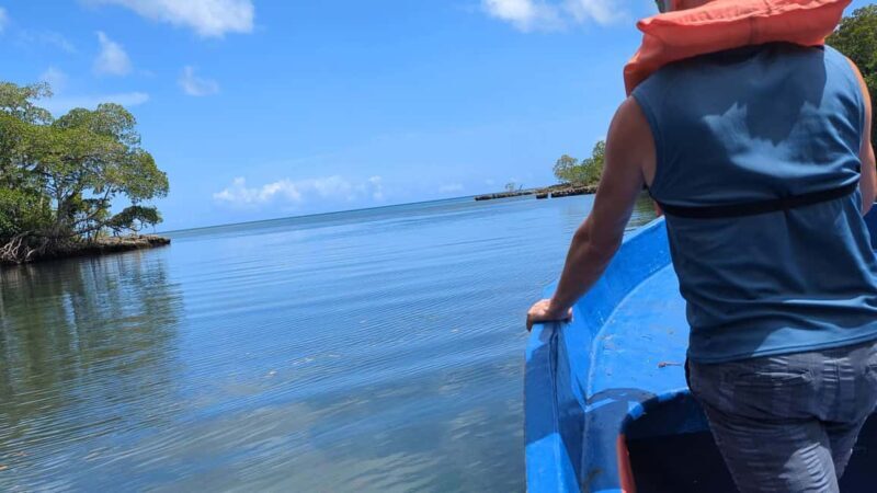 Mangove boat tour - Rio San Juan Guided 4-6 hour tour - Final Thoughts: Is It Worth It?