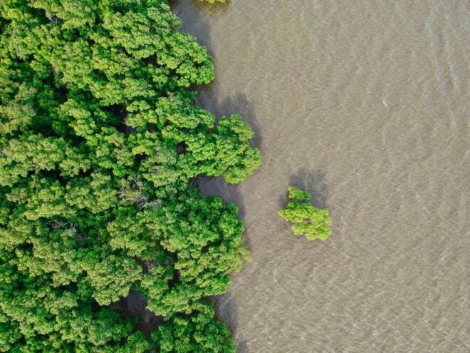 Mangrove Adventure in Bentota - Duration and Availability