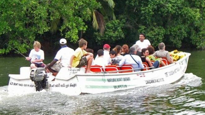 Mangrove Adventure in Bentota - Bentota Attractions