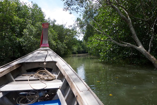 Mangrove Boat Tour in Krabi - Experience Details