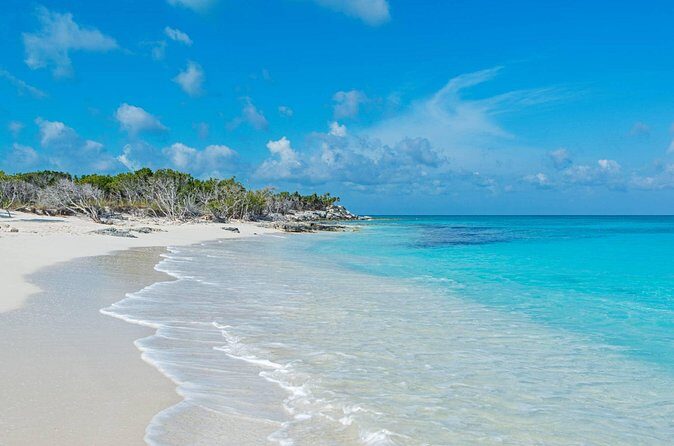 Mangrove Cay and Iguana Island Tours - Transportation, Duration, and Group Size