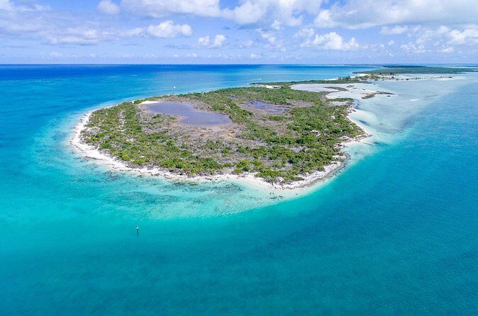 Mangrove Cay and Iguana Island Tours - Final Thoughts