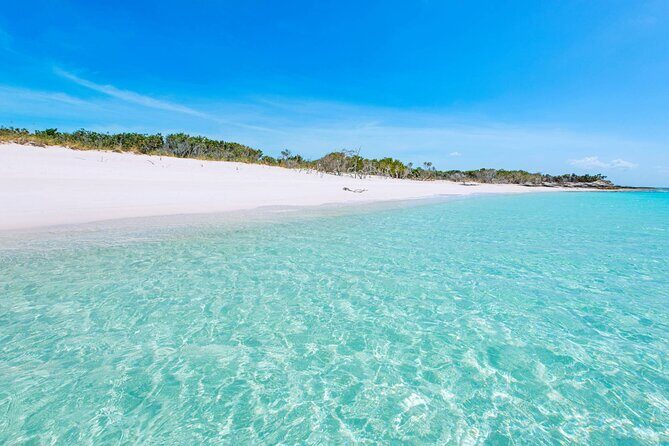 Mangrove Cay and Iguana Island Tours - FAQs