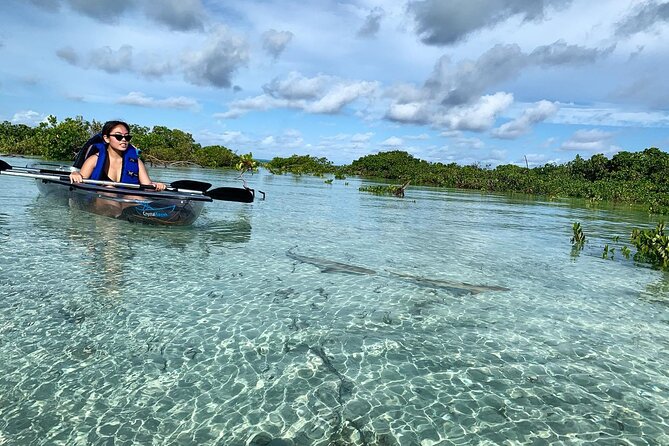 Mangrove Clear Kayak Tour - Cancellation Policy