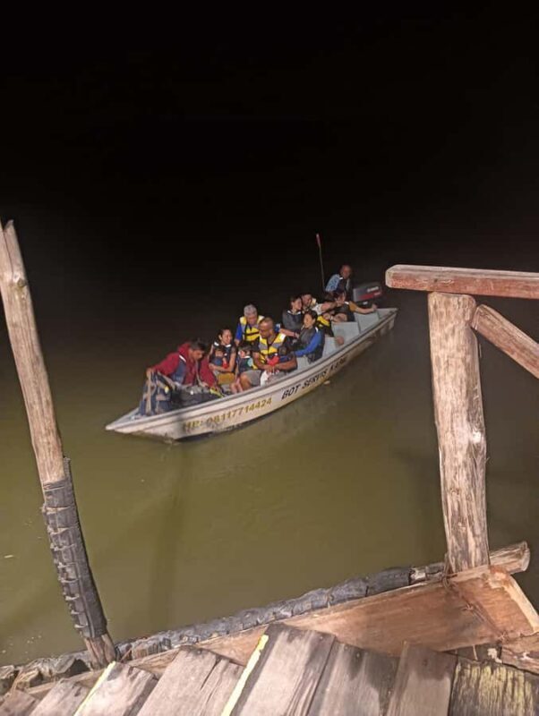 Mangrove discovery tour or fireflies tour - Who Would Love This Tour?