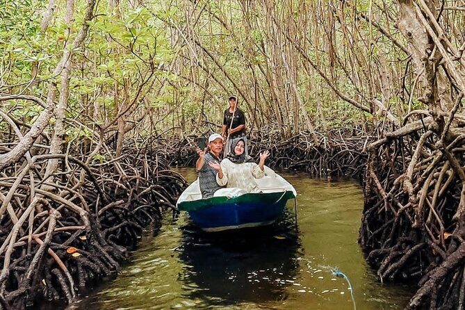 Mangrove Forest by Boat, Kayaking, Stand Up Paddle at Lembongan - Good To Know  