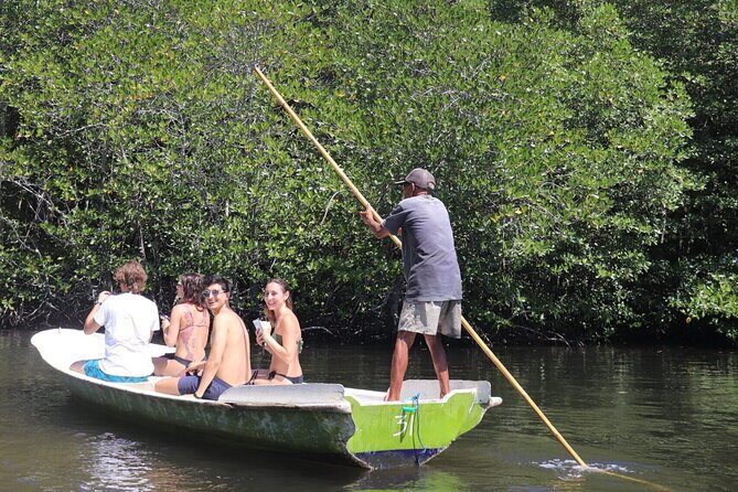 Mangrove Forest by Boat, Kayaking, Stand Up Paddle at Lembongan - Introduction to the Mangrove Forest Tour at Nusa Lembongan