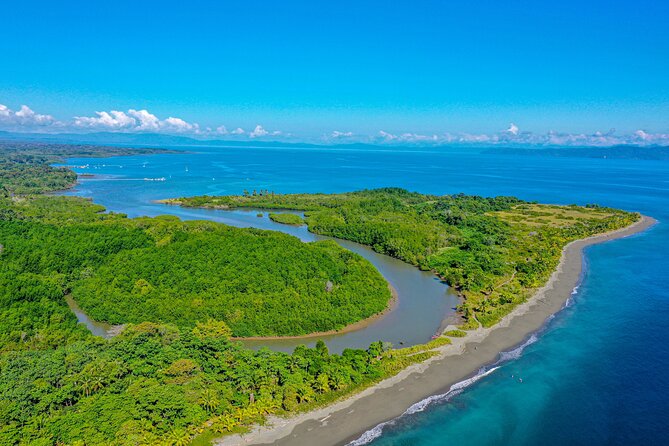 Mangrove Forest Kayak Exploration - Tour Inclusions