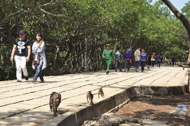 Mangrove Forest& Monkey Island FULL DAY TRIP - Restrictions and Recommendations