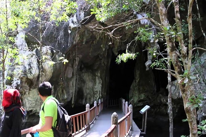 Mangrove Forest Tour In Langkawi - Operated by
