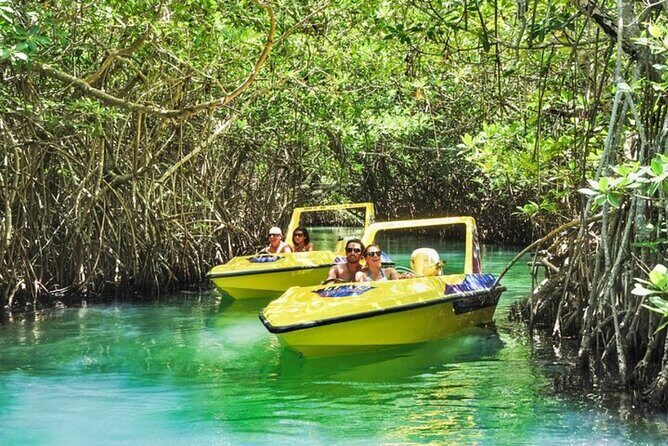 Mangrove Jungle Speedboat Experience - What to Expect from the Mangrove Jungle Speedboat Experience