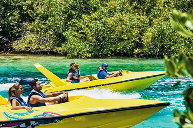 Mangrove Jungle Speedboat Experience - What To Expect