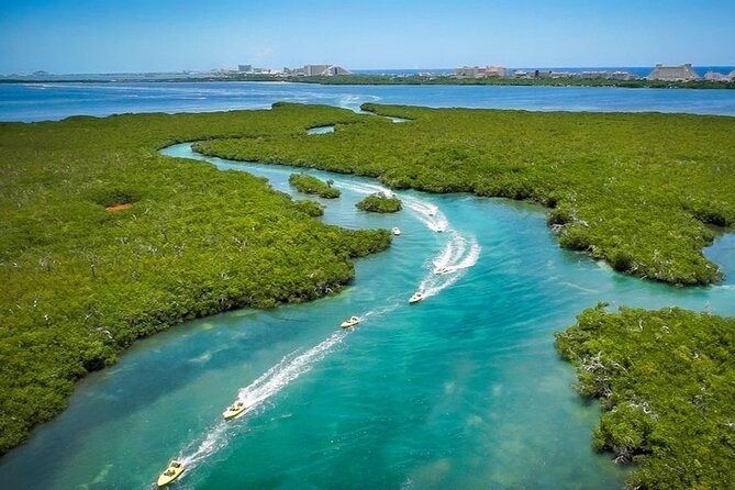 Mangrove Jungle Speedboat Experience - Cancellation Policy
