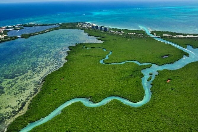 Mangrove Jungle Speedboat Experience - Tips for a Memorable Experience