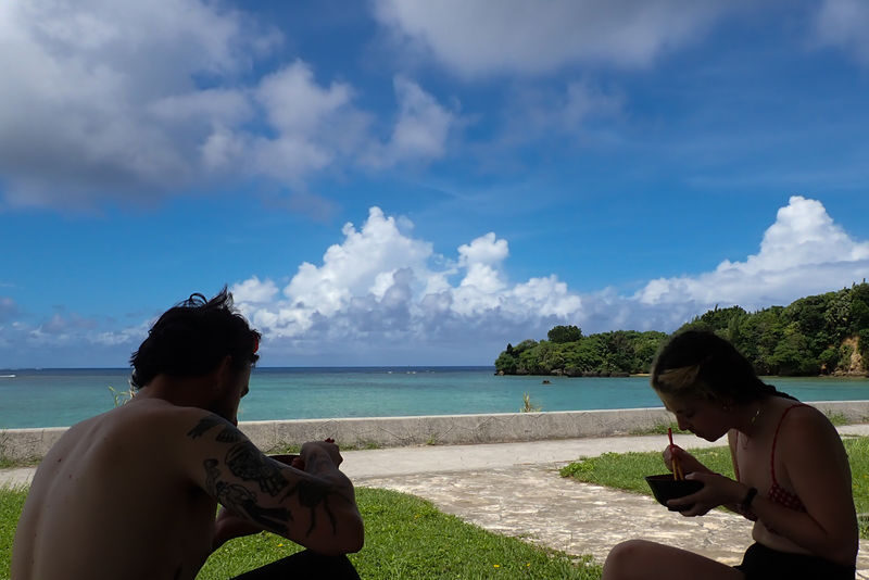 Mangrove Kayak and Waterfall Trek with Outdoor Lunch in Iriomote - A guide makes the day easier to manage