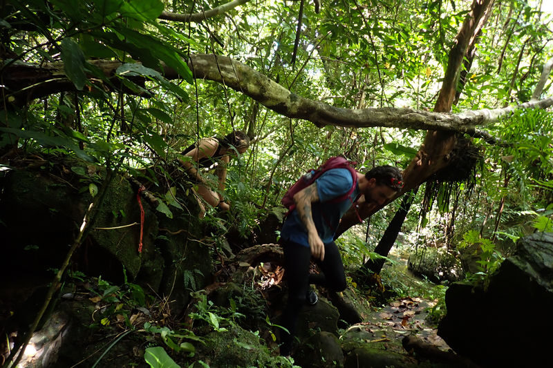 Mangrove Kayak and Waterfall Trek with Outdoor Lunch in Iriomote - Timing, ferries, and what to bring