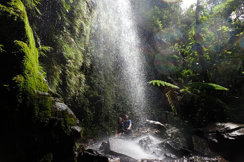 Mangrove Kayak and Waterfall Trek with Outdoor Lunch in Iriomote - Is $98.55 good value?