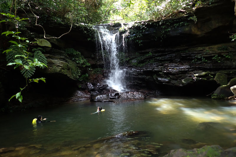Mangrove Kayak and Waterfall Trek with Outdoor Lunch in Iriomote - Who should book this Iriomote outing?