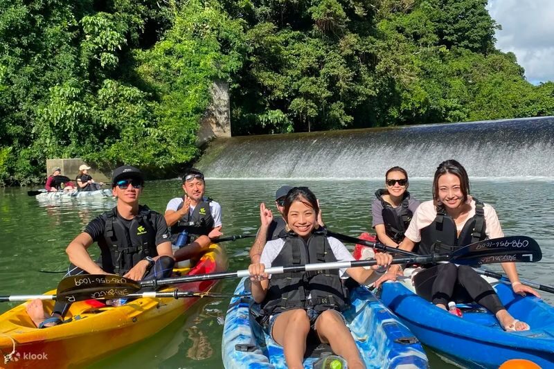 Mangrove Kayak Tour in Okinawa - Quick points before you book
