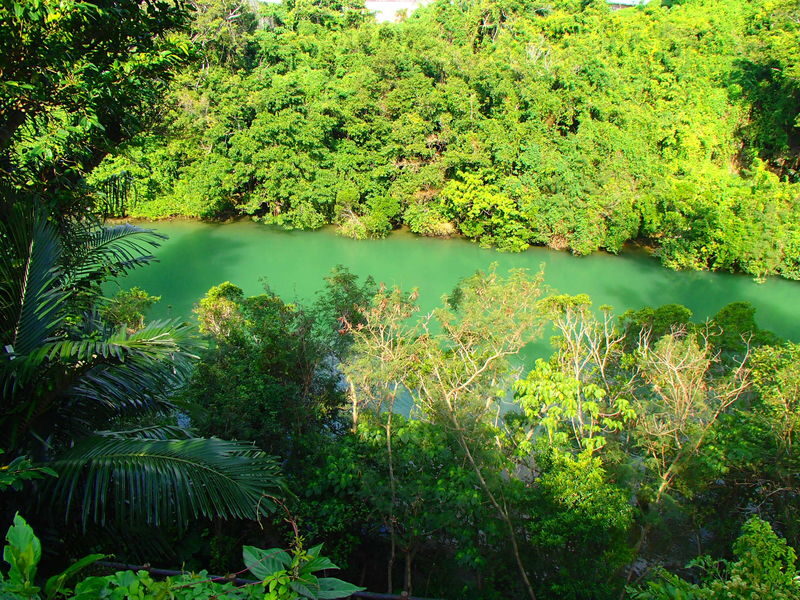 Mangrove Kayak Tour in Okinawa - Guides, language, and complimentary photos