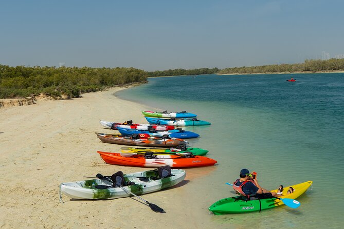 Mangrove Kayaking Abu Dhabi - Wildlife Spotting During Mangrove Kayaking
