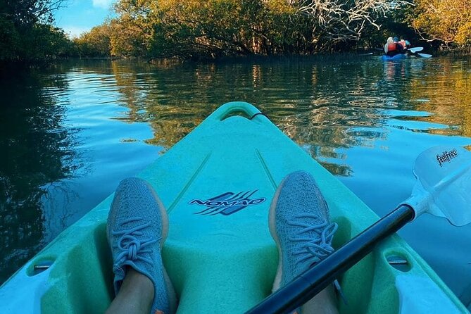 Mangrove Kayaking Abu Dhabi - What to Expect During the Mangrove Kayaking Tour