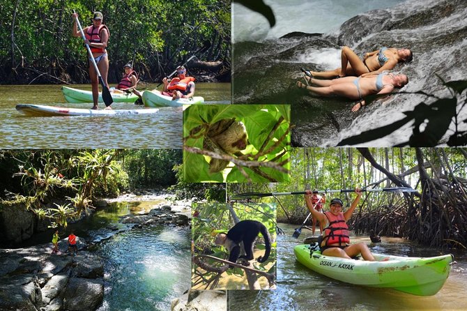 Mangrove Kayaking Adventure - Tour Overview