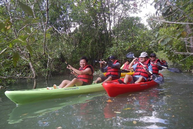 Mangrove Kayaking Adventure in Singapore - What to Bring