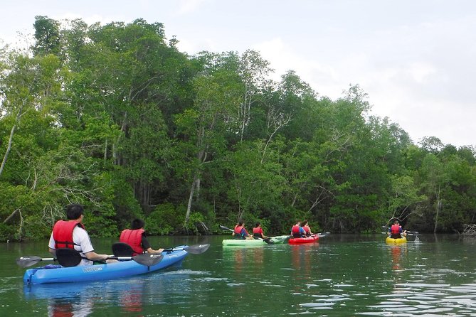 Mangrove Kayaking Adventure in Singapore - Helpful Guides and Positive Feedback