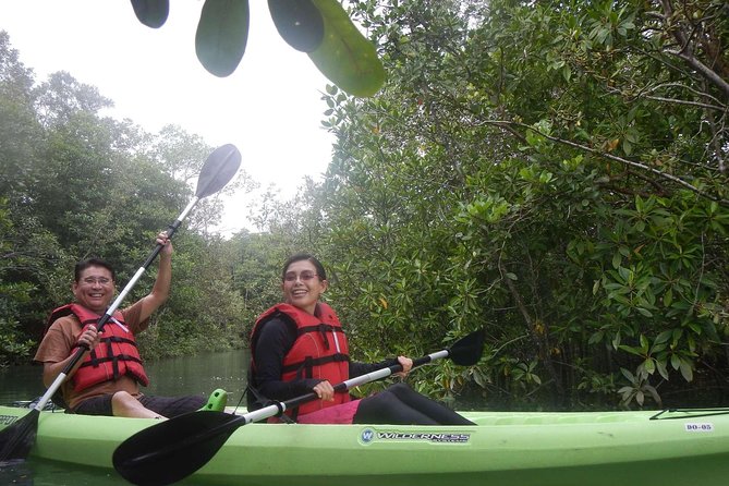 Mangrove Kayaking Adventure in Singapore - Directions