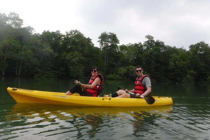 Mangrove Kayaking Adventure in Singapore - The Sum Up