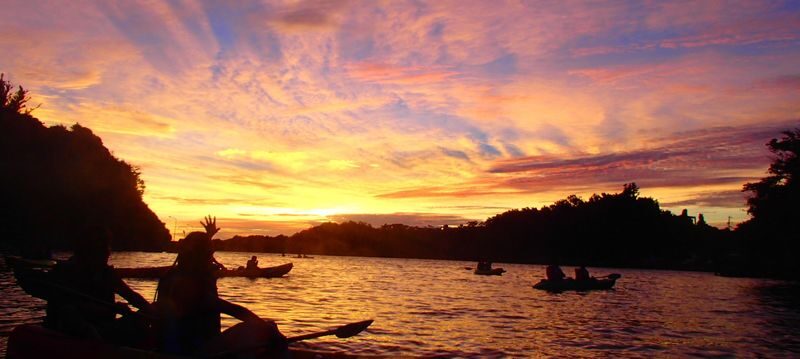 Mangrove Kayaking and Fishing Experience in Okinawa - The quick take