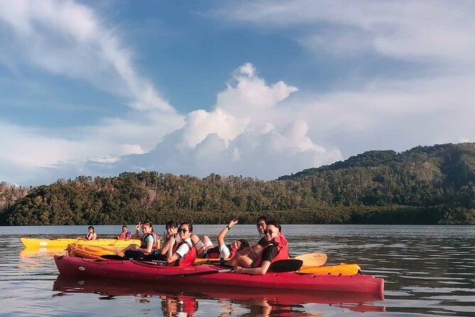 Mangrove Kayaking Experience in Borneo - Tour Information