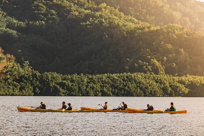 Mangrove Kayaking Experience in Borneo - Pricing and Booking