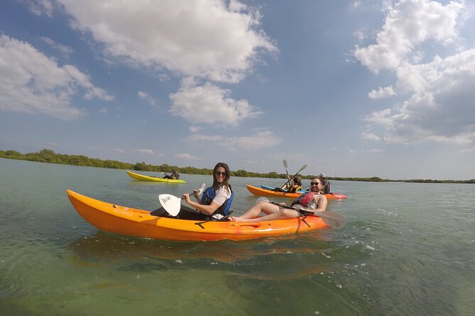 Mangrove Kayaking Purple Island Adventure - Spotting Wildlife Along the Way