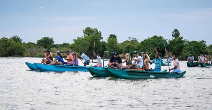 Mangrove Lagoon Safari - Tour Inclusions