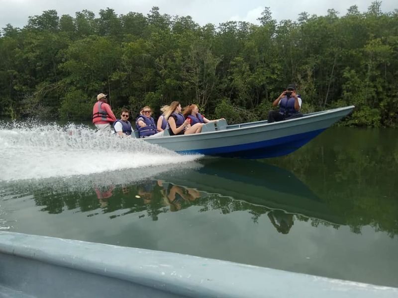 Mangrove or Fireflies Tour in Bintan - Daylight on the Sebung River