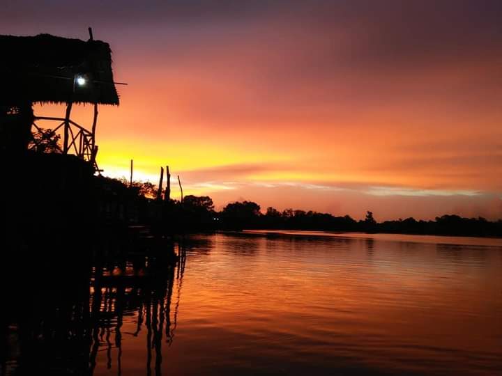 Mangrove or Fireflies Tour in Bintan - Practical choices for a better outing