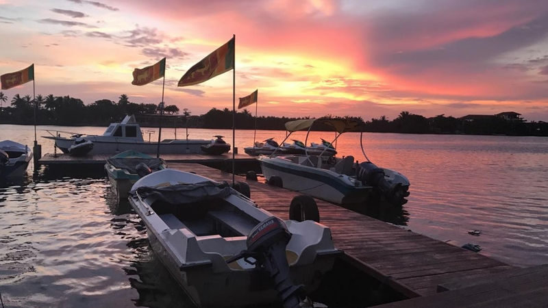Mangrove River Safari Experience in Bentota - What to know before you book